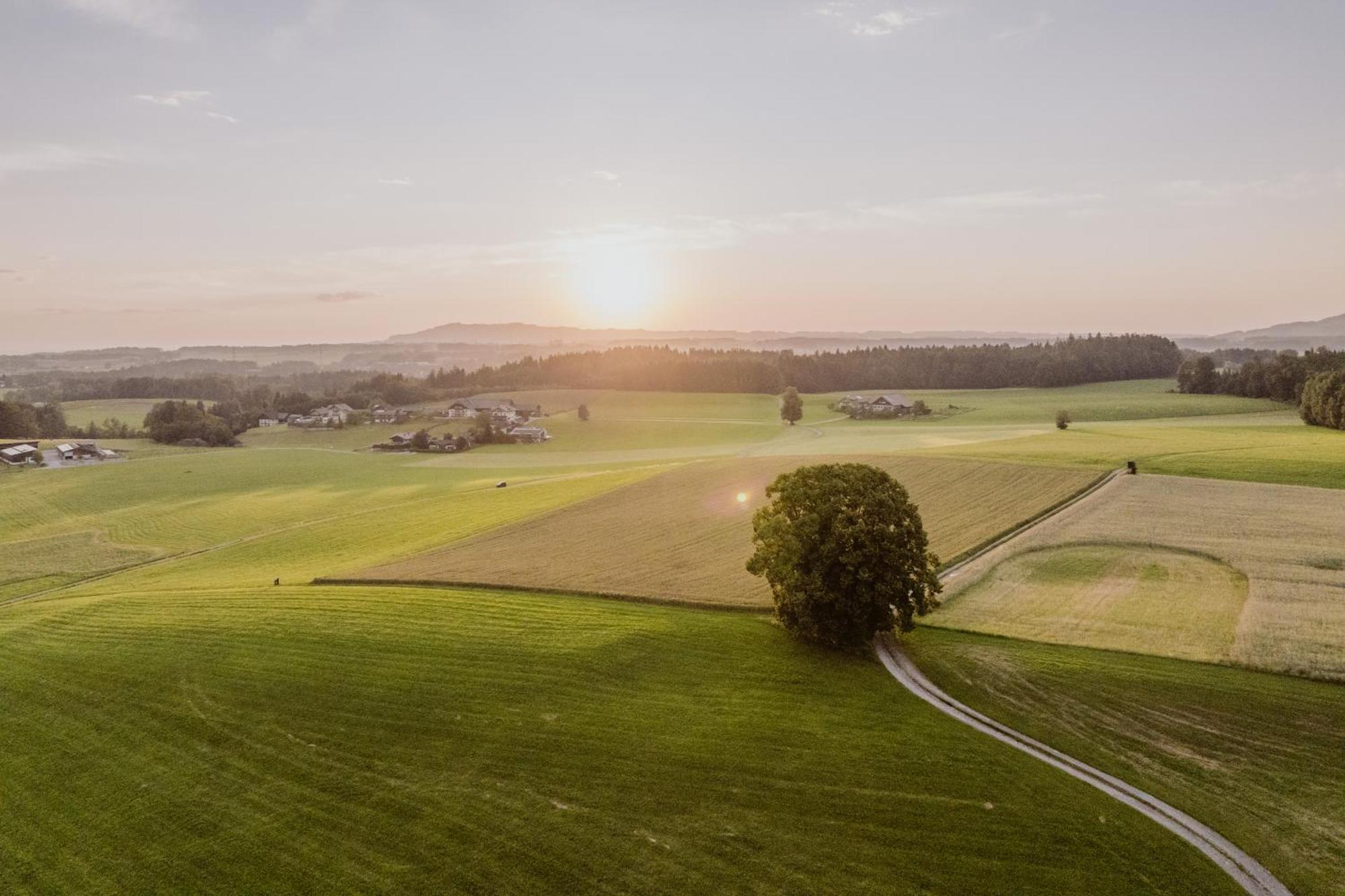 Landhotel Gschirnwirt Ойґендорф Екстер'єр фото